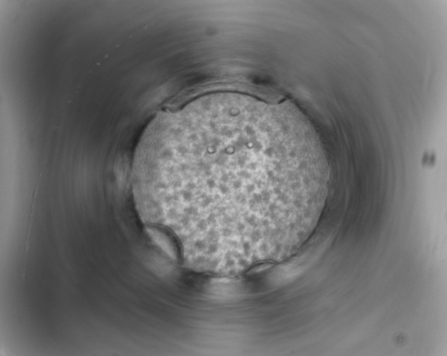 X0000102410240200808152012