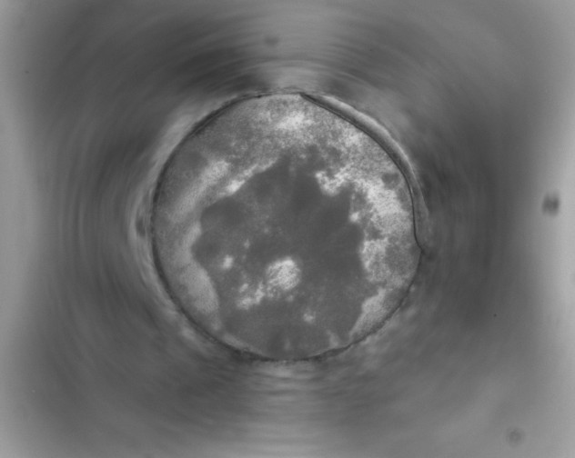 X0000102410241200808152011