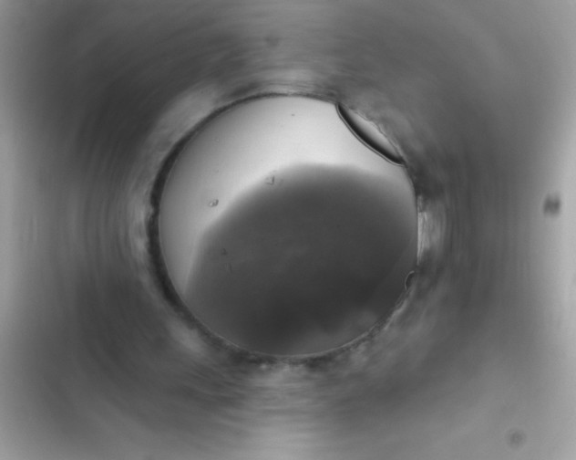 X0000102410243200808152011