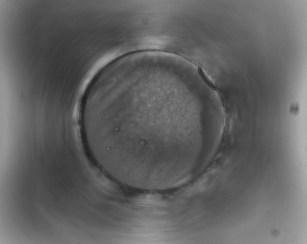 X0000102410244200808152011