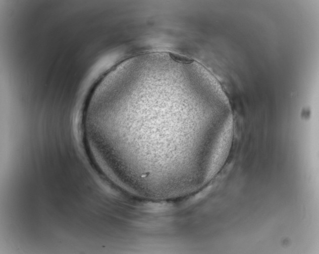 X0000102410245200808152012