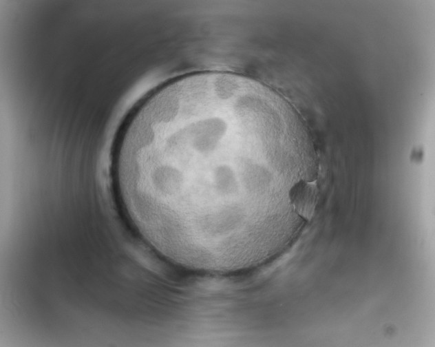 X0000102410246200808152012