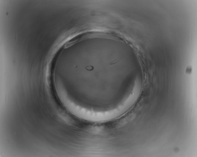 X0000102410247200808152012