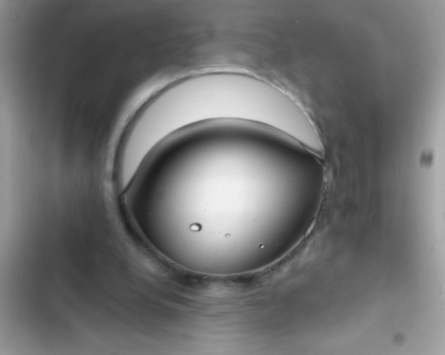 X0000102410248200808152012