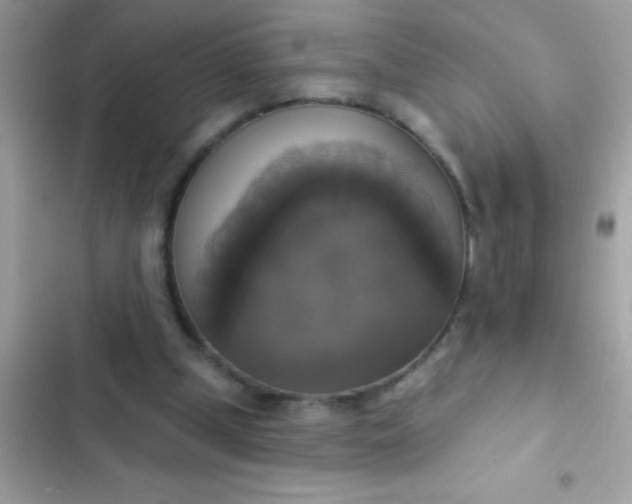 X0000102410249200808152012