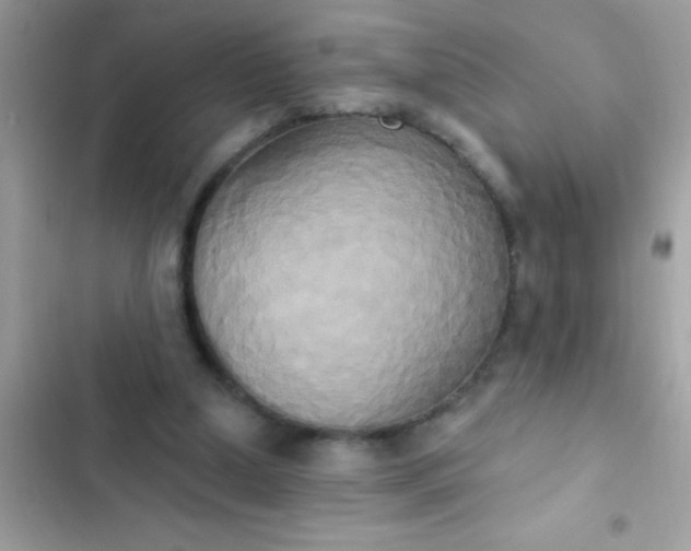 X0000102410250200808152012