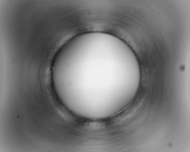 X0000102410251200808152012