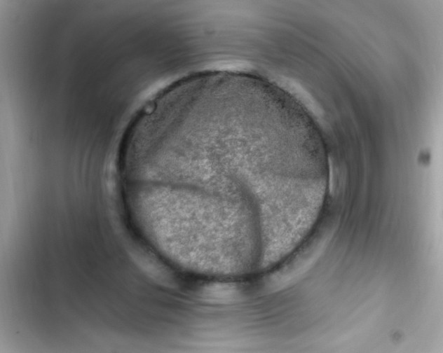 X0000102410252200808152012