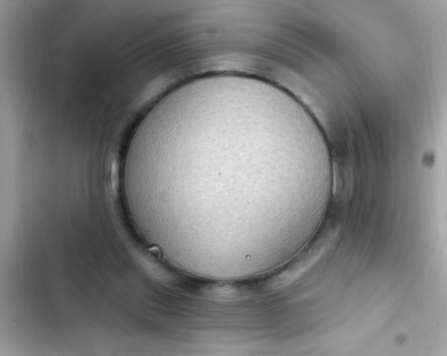 X0000102410253200808152012