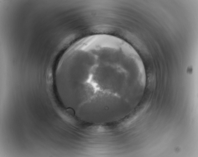 X0000102410254200808152012