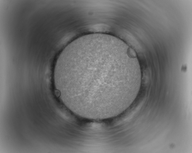 X0000102410255200808152012