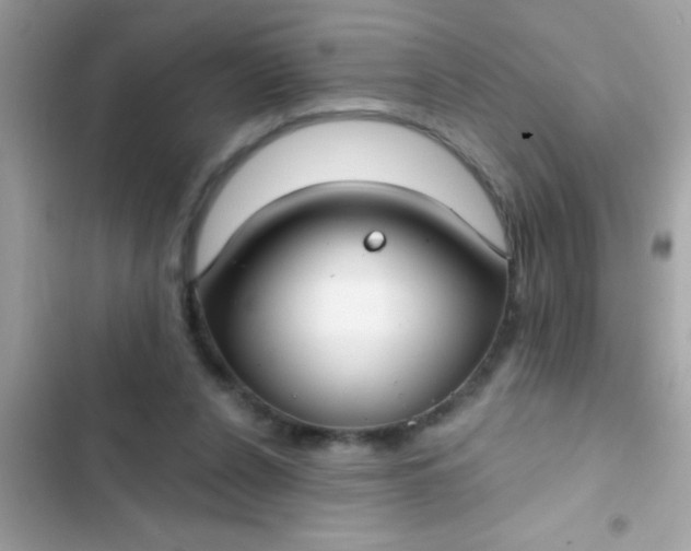 X0000102410256200808152012