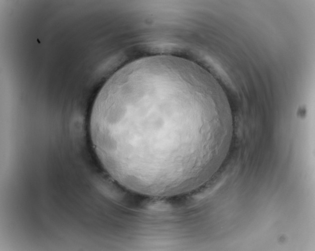 X0000102410258200808152012