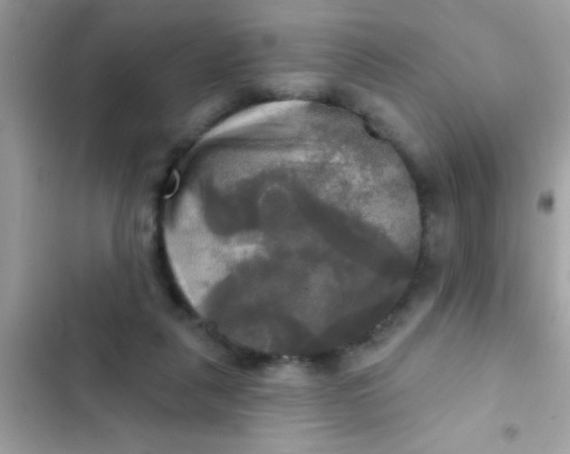 X0000102410259200808152012