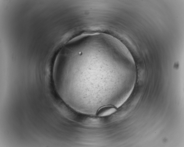 X0000102410260200808152012