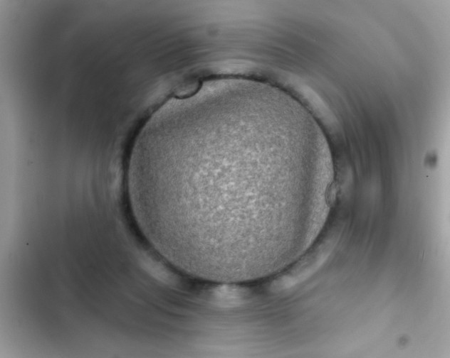 X0000102410261200808152012