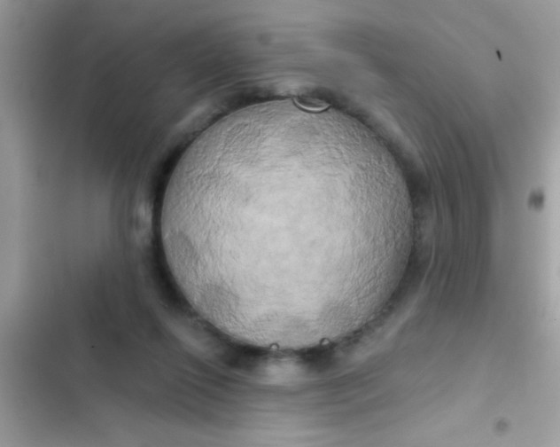 X0000102410262200808152012