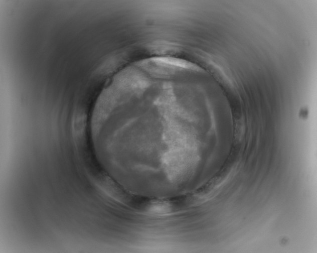 X0000102410263200808152012