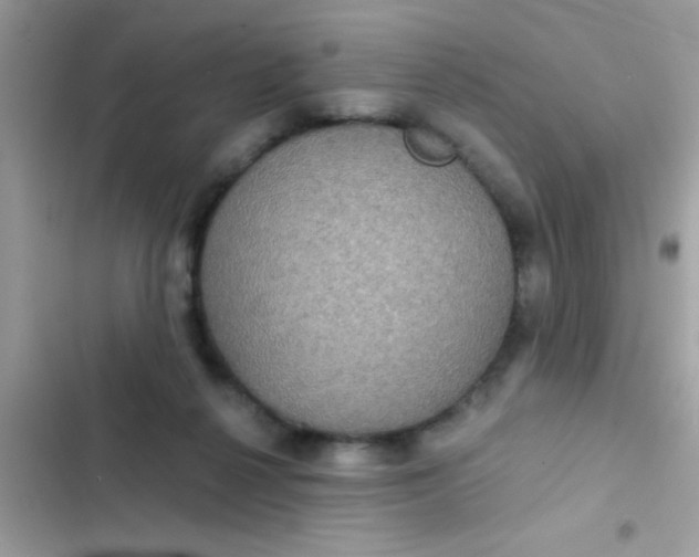 X0000102410264200808152012