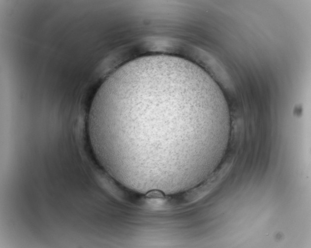 X0000102410265200808152012