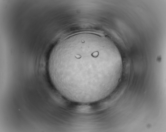 X0000102410266200808152012