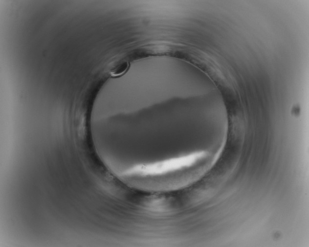 X0000102410267200808152012