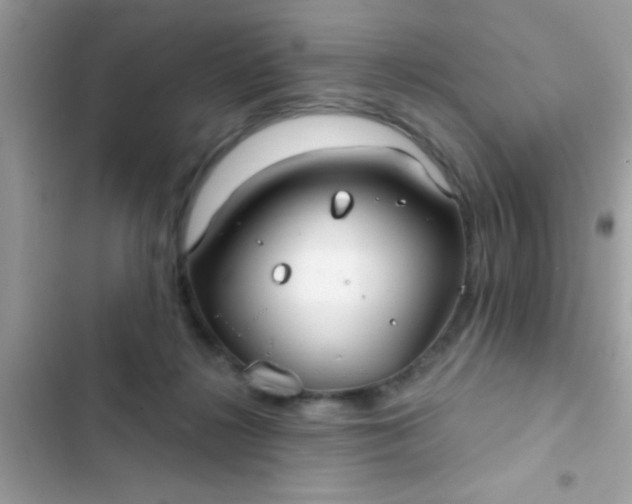 X0000102410268200808152012