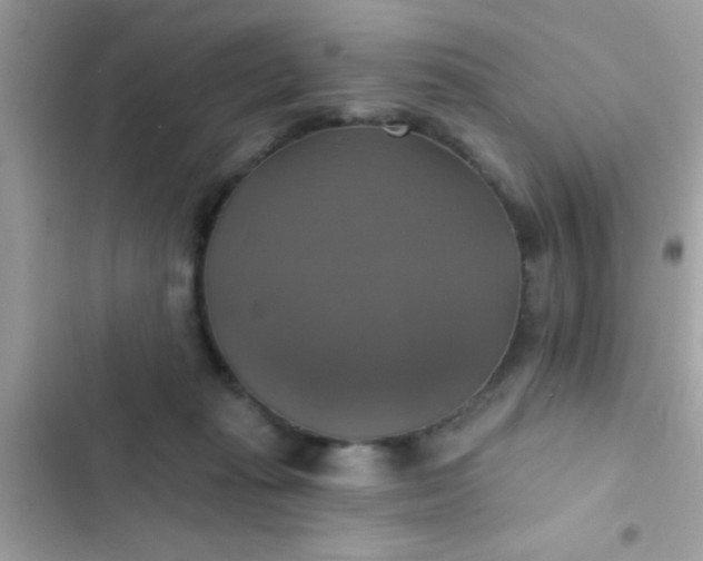 X0000102410269200808152012