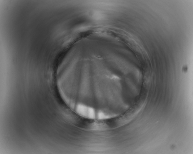 X0000102410270200808152012