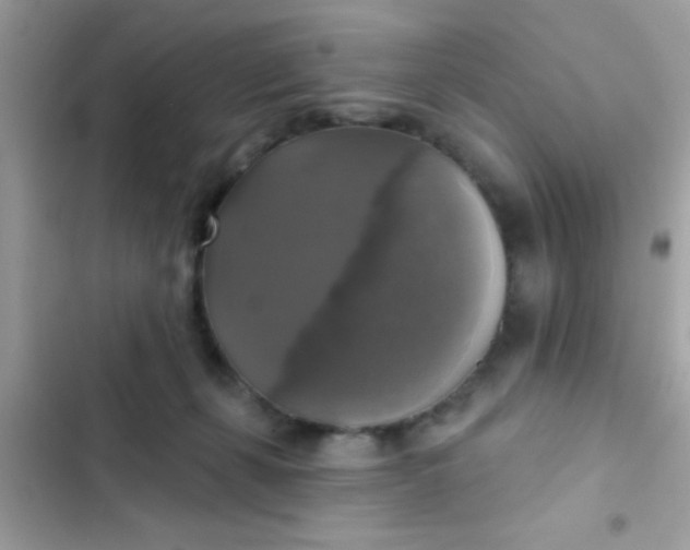 X0000102410271200808152012