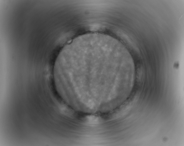 X0000102410272200808152012