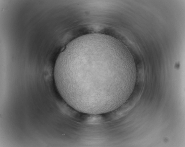 X0000102410274200808152012