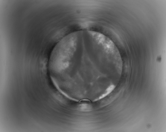 X0000102410275200808152012