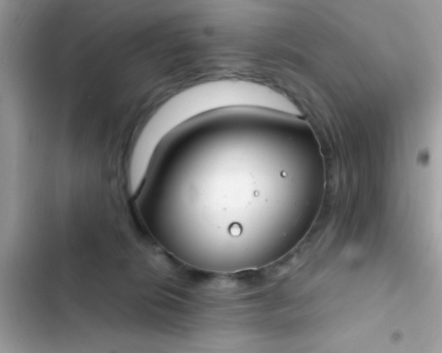 X0000102410276200808152012