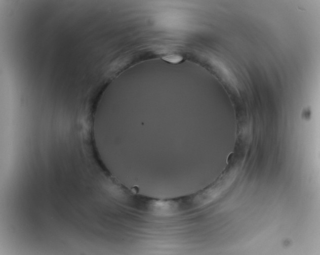 X0000102410277200808152012