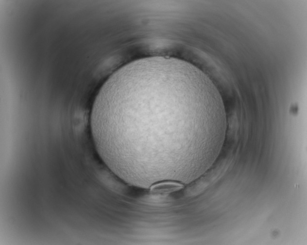 X0000102410278200808152012