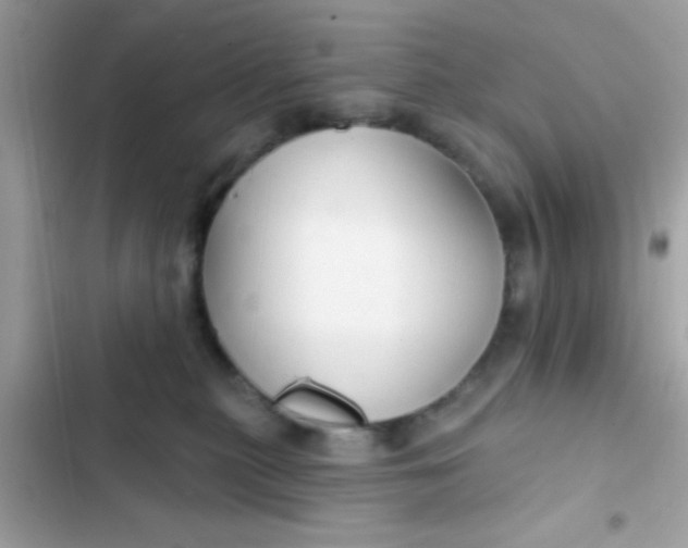 X0000102410279200808152012