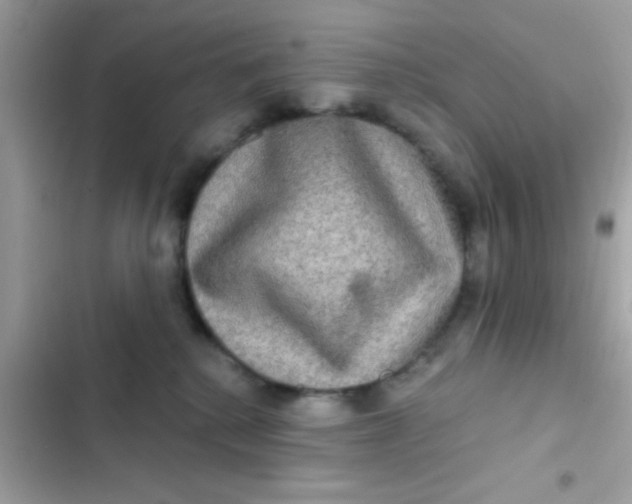 X0000102410280200808152012