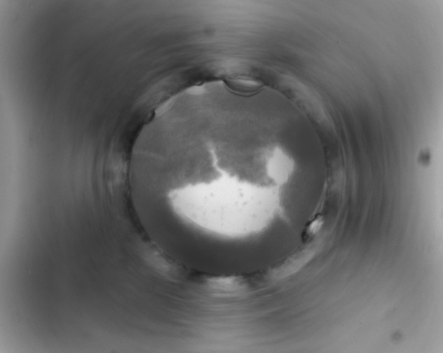 X0000102410281200808152012