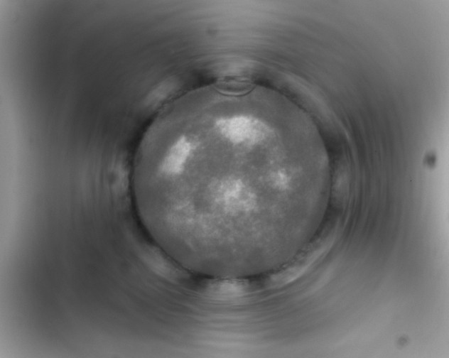 X0000102410282200808152012