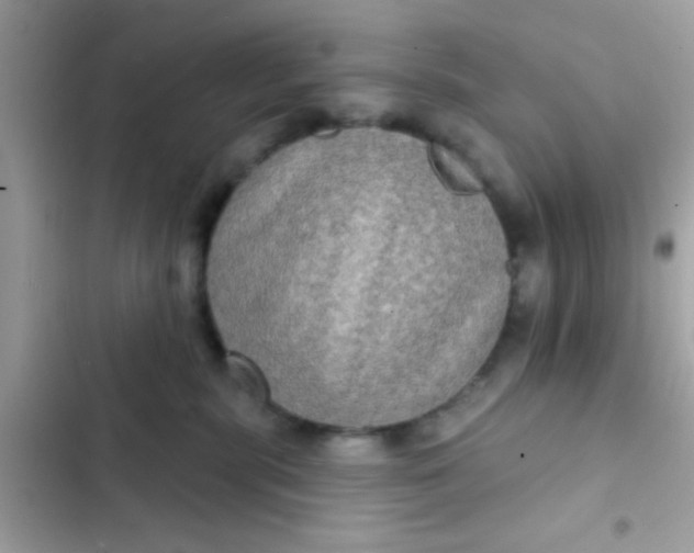 X0000102410283200808152012