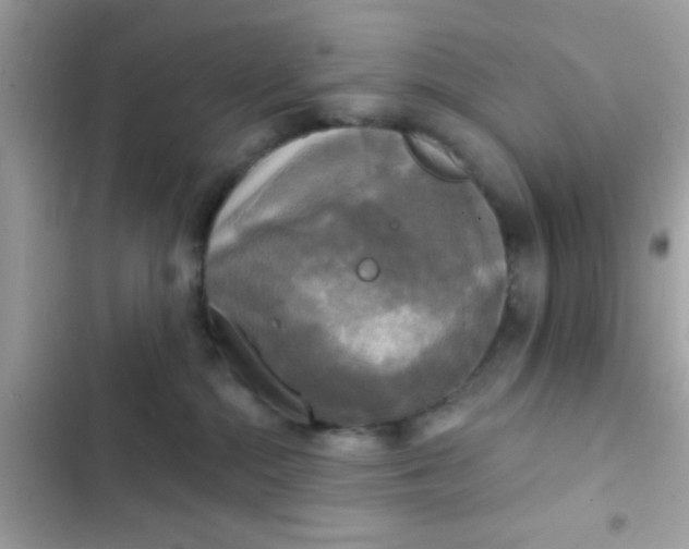 X0000102410284200808152012