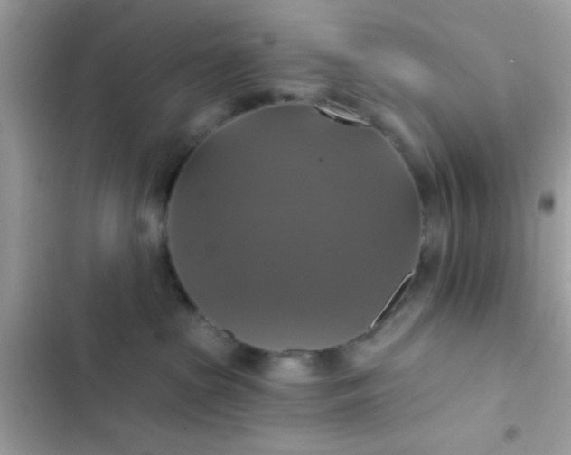 X0000102410285200808152012