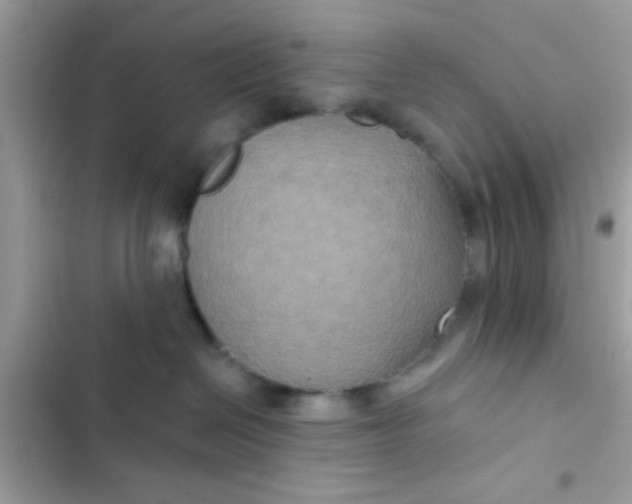 X0000102410286200808152012