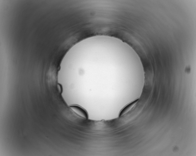 X0000102410287200808152012