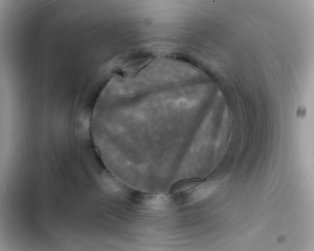 X0000102410288200808152012