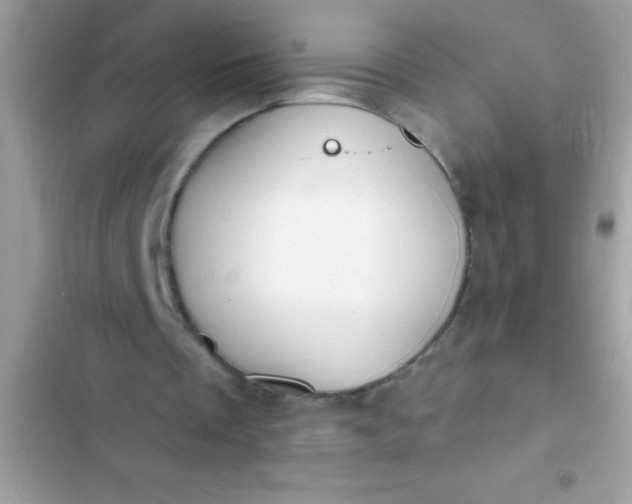 X0000102410289200808152011