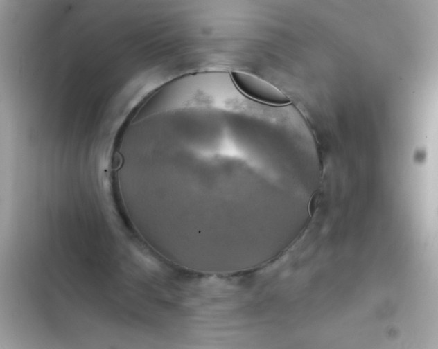 X0000102410290200808152011