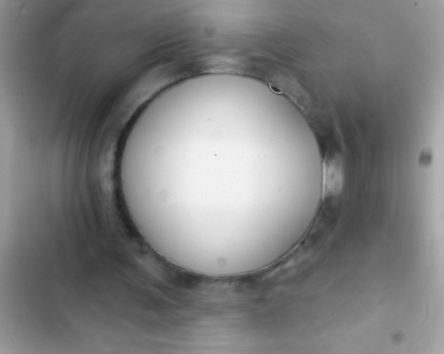 X0000102410291200808152011