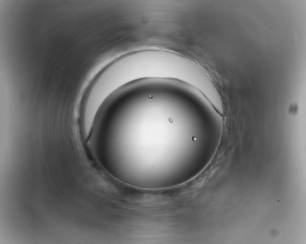 X0000102410292200808152011